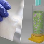 W naszej walce z plastikiem wyodrębniliśmy bakterie. Ich celuloza wydaje się być idealnym zamiennikiem.
