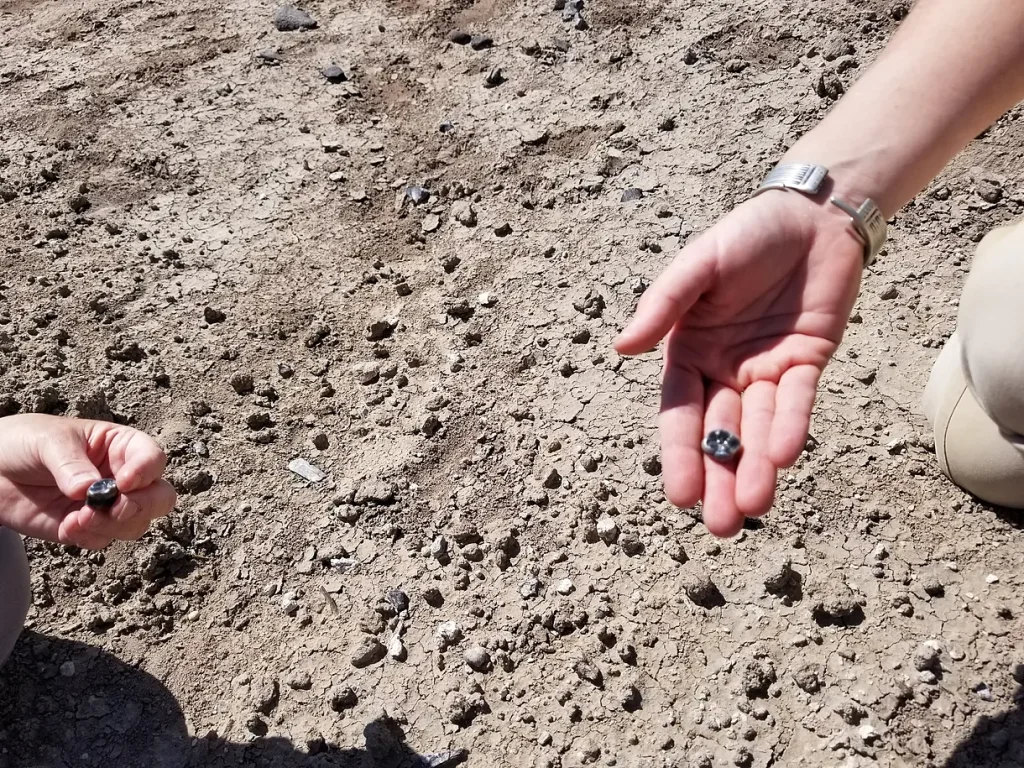 Odkryto nowy gatunek Australopithecus, który współistniał z pierwszymi przedstawicielami rodzaju Homo