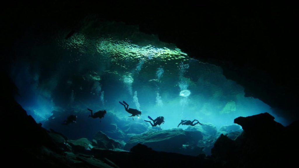 Podnieśli skałę z dna oceanu: to, co znaleźli, było ogromne… i żyło.