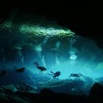 Podnieśli skałę z dna oceanu: to, co znaleźli, było ogromne… i żyło.