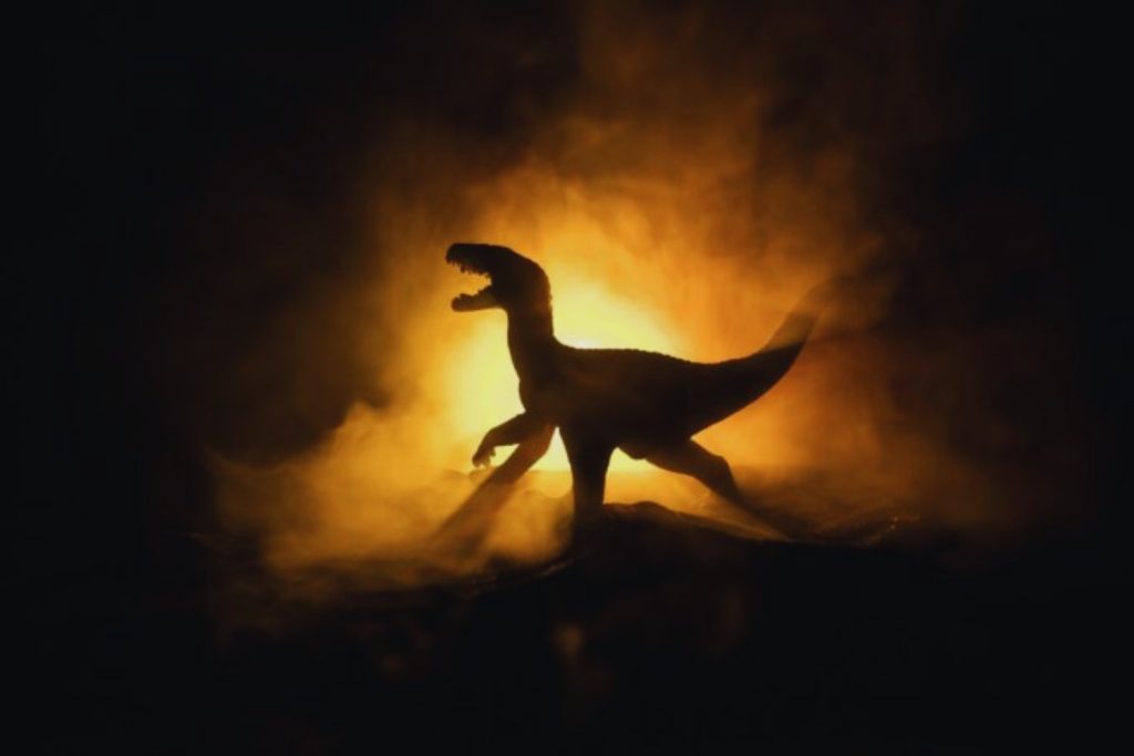 Odkrycie skamieniałości zmusza do przepisania historii dinozaurów: tak wyglądała nieoczekiwana hierarchia drapieżników