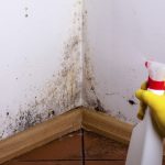 Pożegnaj wilgoć: domowy sposób na usunięcie plam i zapachu z domu