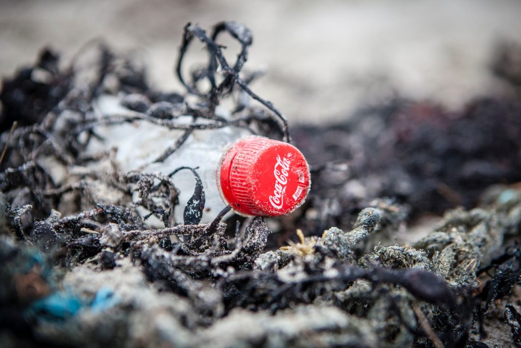 Coca-Cola zmierza do 4,13 mld kg plastiku rocznie: kryzys środowiskowy zagrażający oceanom i zdrowiu ludzkiemu