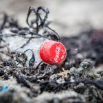 Coca-Cola zmierza do 4,13 mld kg plastiku rocznie: kryzys środowiskowy zagrażający oceanom i zdrowiu ludzkiemu