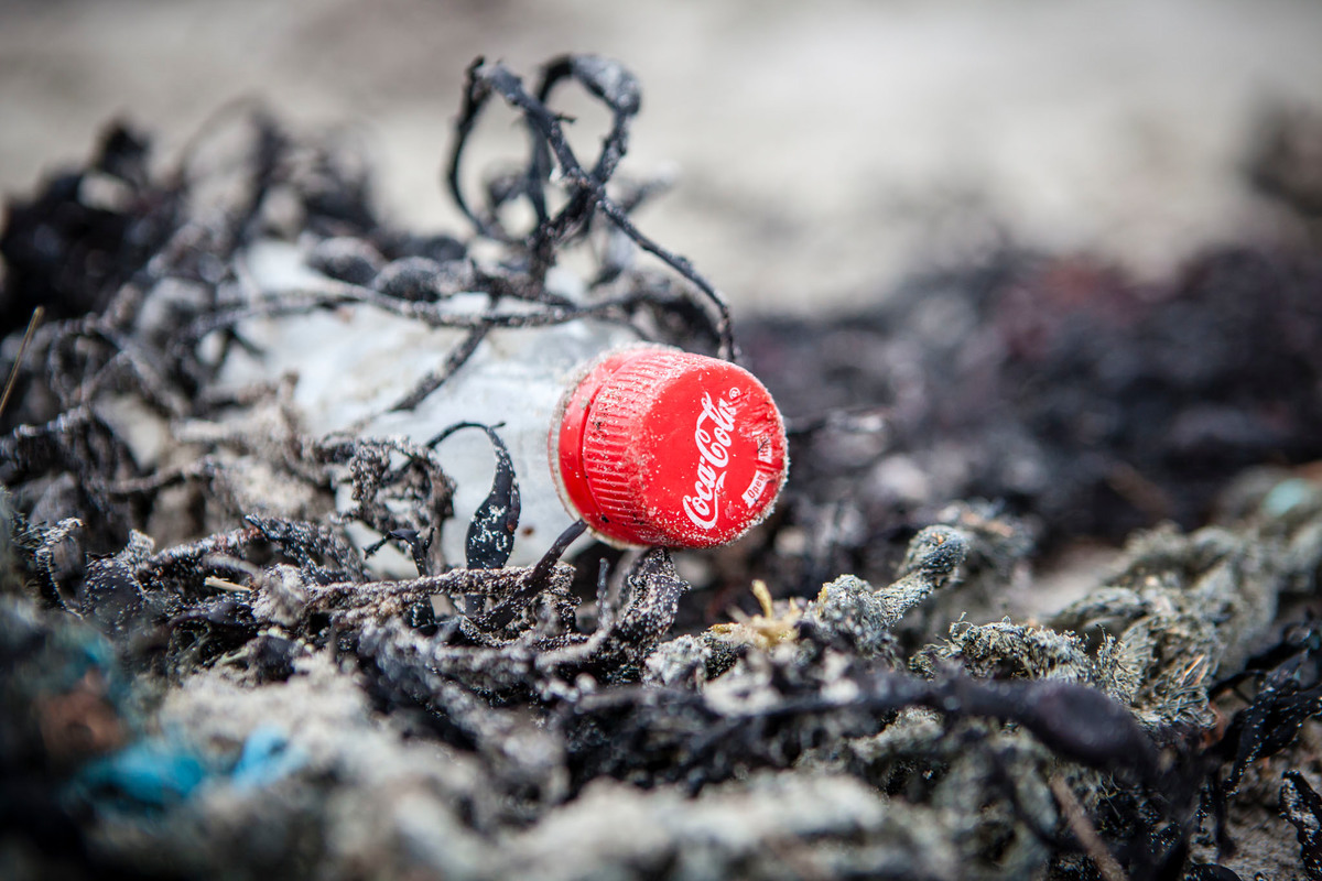 Coca-Cola zmierza do 4,13 mld kg plastiku rocznie: kryzys środowiskowy zagrażający oceanom i zdrowiu ludzkiemu