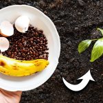 Do czego służy i dlaczego zaleca się mieszanie skórek bananów z kawą