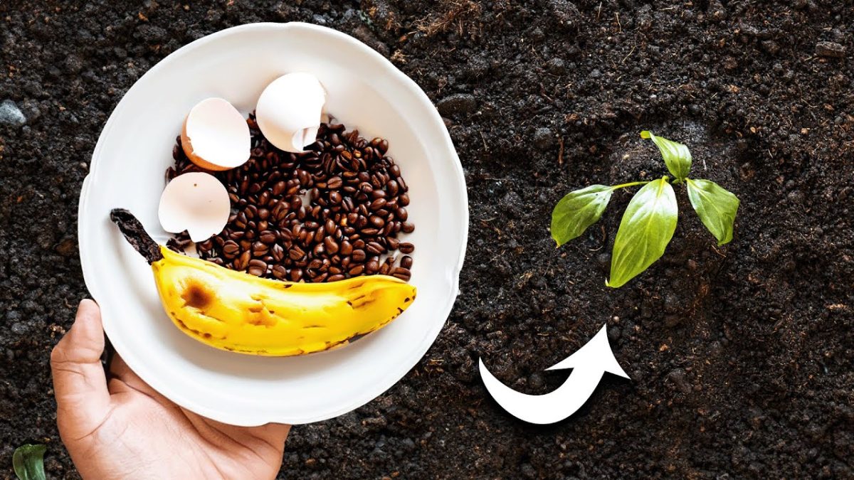 Do czego służy i dlaczego zaleca się mieszanie skórek bananów z kawą