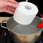 Gotuję papier toaletowy — i poczęstunek na 3 dni gotowy: wszyscy sąsiedzi docenili