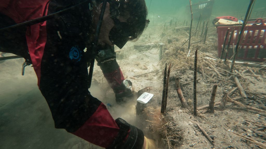 Nurkowali w pobliżu wybrzeża i przypadkowo znaleźli zatopioną w oceanie osadę z epoki kamienia łupanego