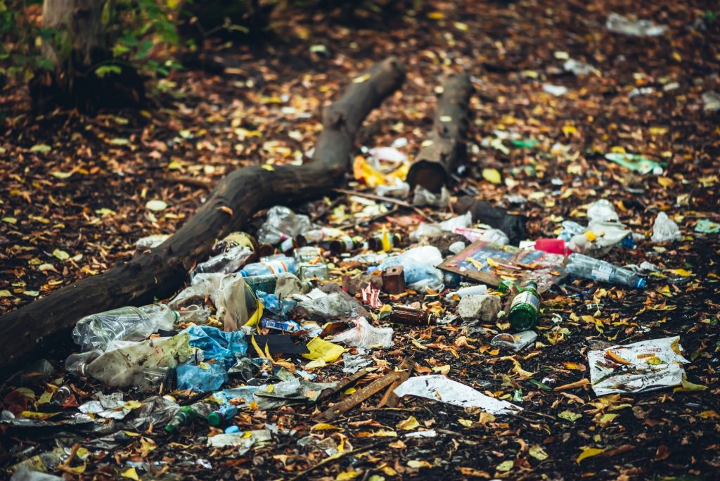 Nowe niemieckie badania wykazały, że lasy magazynują nawet milion mikroplastików na metr kwadratowy po dziesięcioleciach „plastikowego deszczu”.