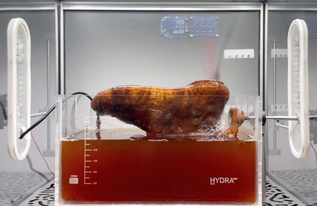 Brytyjski student tworzy modułowy bioreaktor, który hoduje biodegradowalne materiały 3D za pomocą bakterii pochodzących z odpadów organicznych