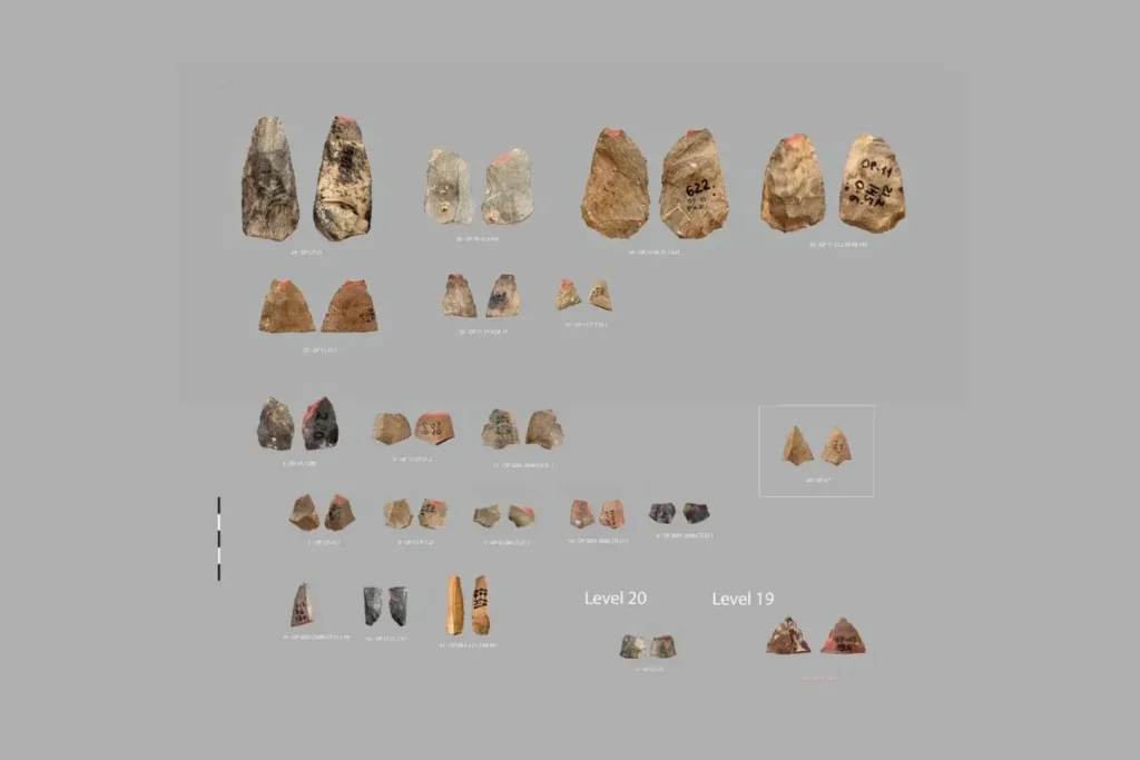 A co, jeśli to neandertalczycy wynaleźli łuk i strzały? W Uzbekistanie odkryto groty strzał sprzed 80 000 lat, które mogły zostać stworzone przez neandertalczyków.